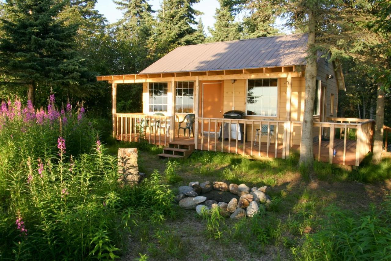Clam Gulch Lodge Exterior photo